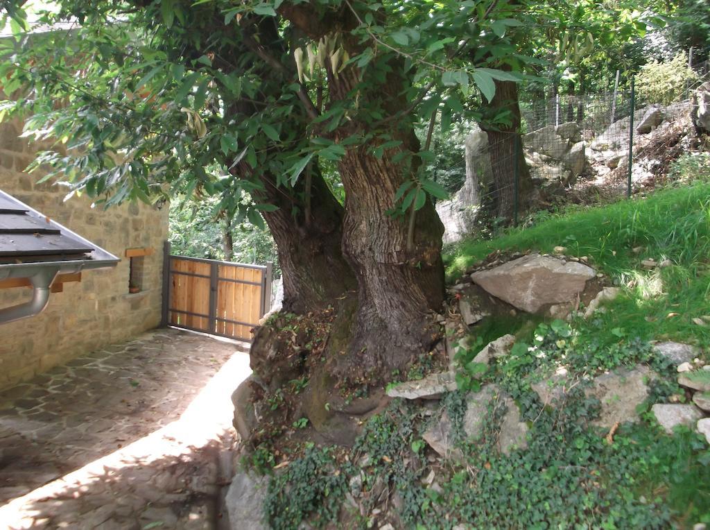 Agriturismo Ai Ronchi Sorico Buitenkant foto