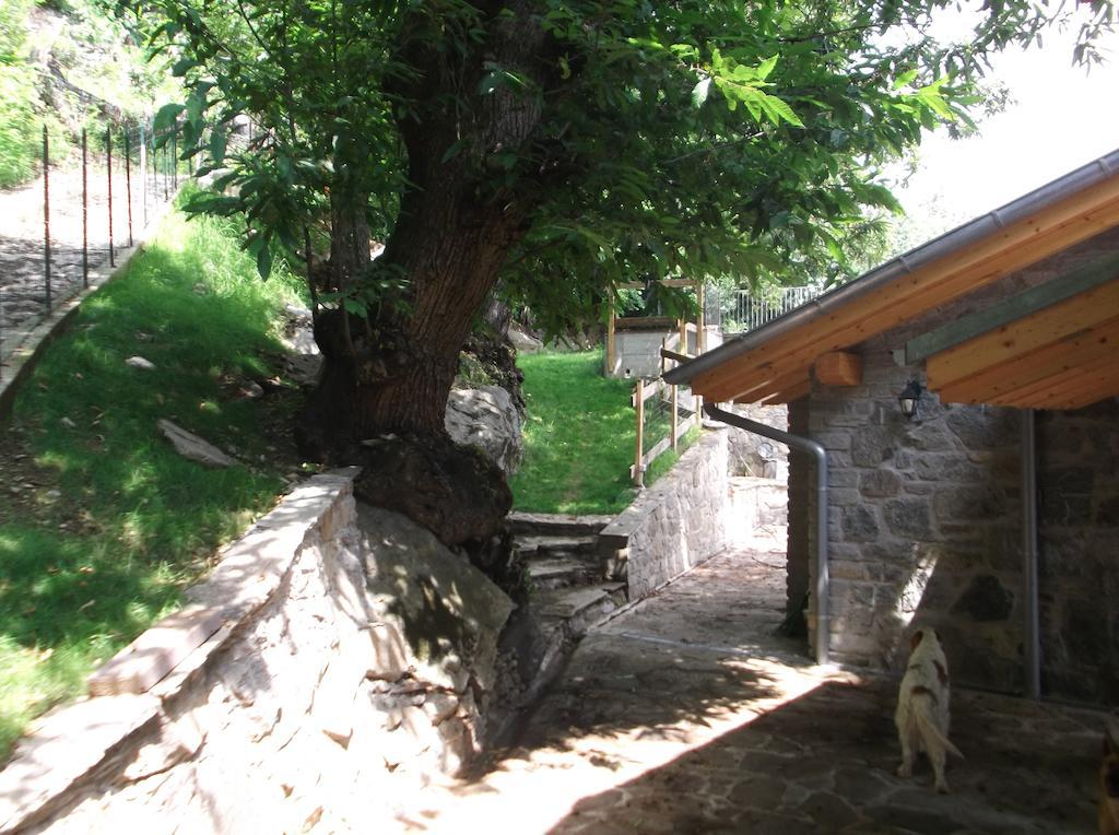 Agriturismo Ai Ronchi Sorico Buitenkant foto